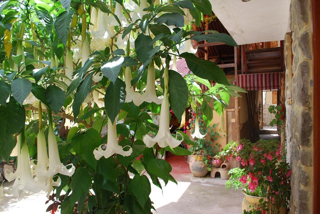 Kiswar Lodg Bed and Breakfast Ollantaytambo Buitenkant foto